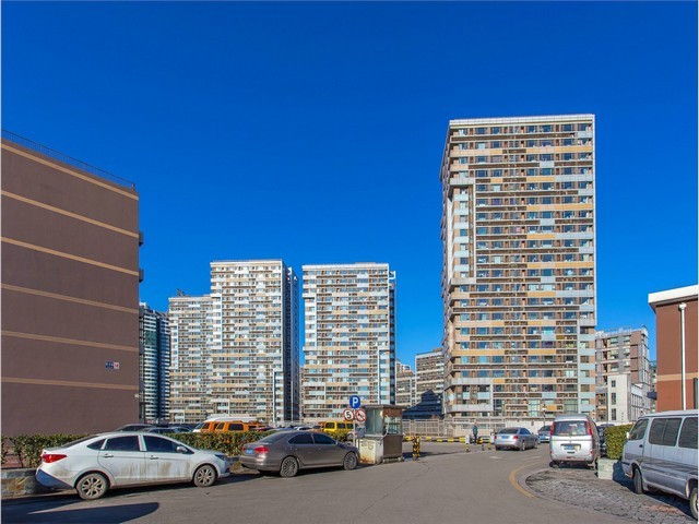 徐州鼠尾胶原报价